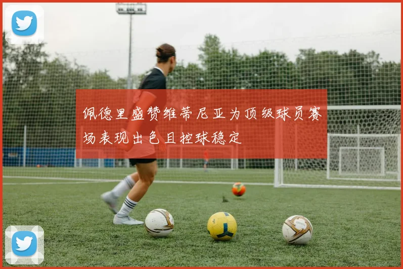 佩德里盛赞维蒂尼亚为顶级球员赛场表现出色且控球稳定