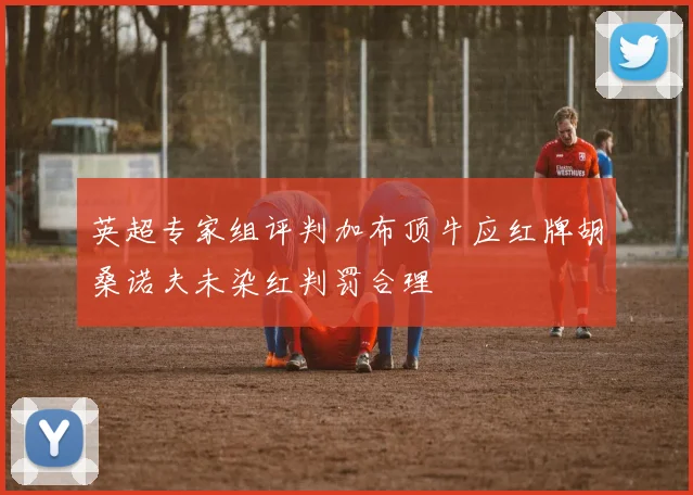 英超专家组评判加布顶牛应红牌胡桑诺夫未染红判罚合理